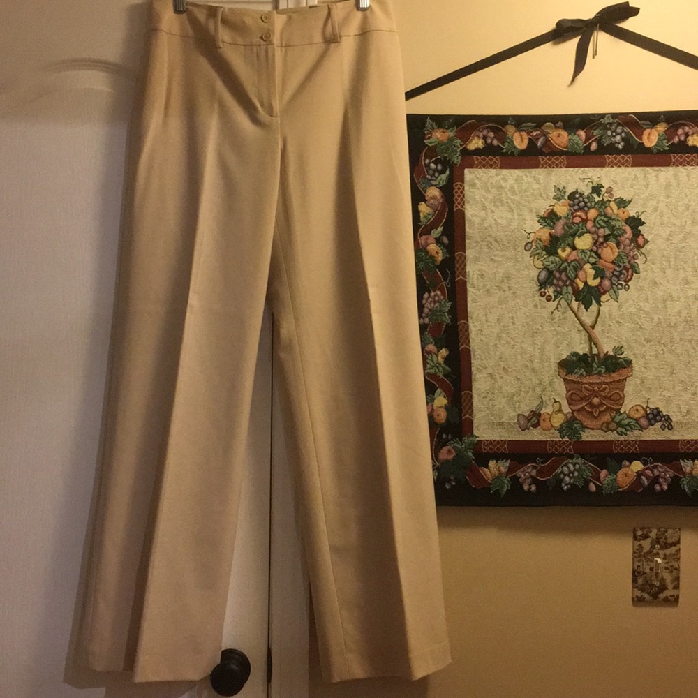 Ann Taylor Margot lined pants. Size 6. NWT